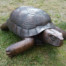 Copper Turtle sculpture hand hammered repousse