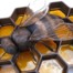 metal honey bee sculpture