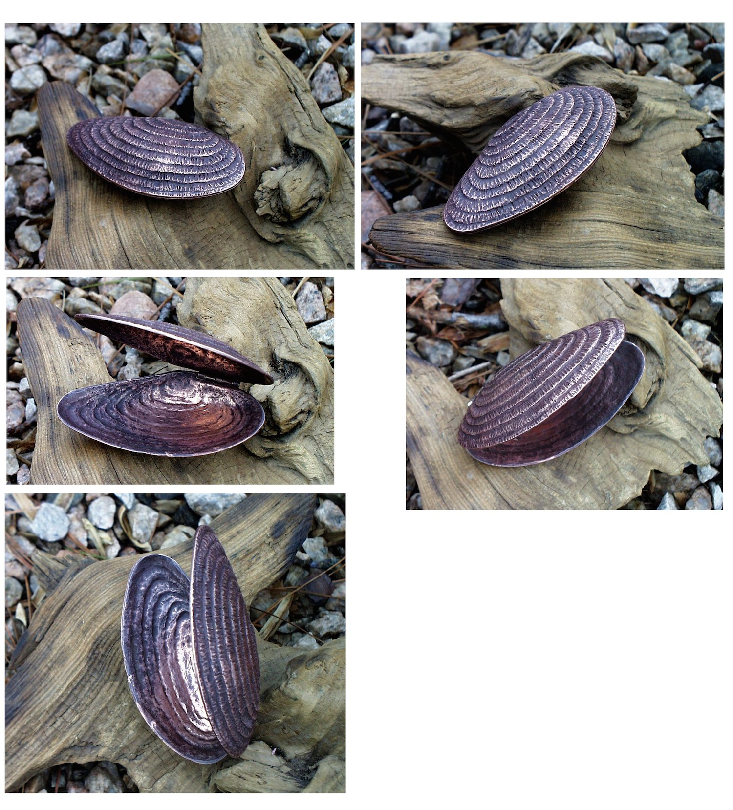Hinged copper mussel shell box