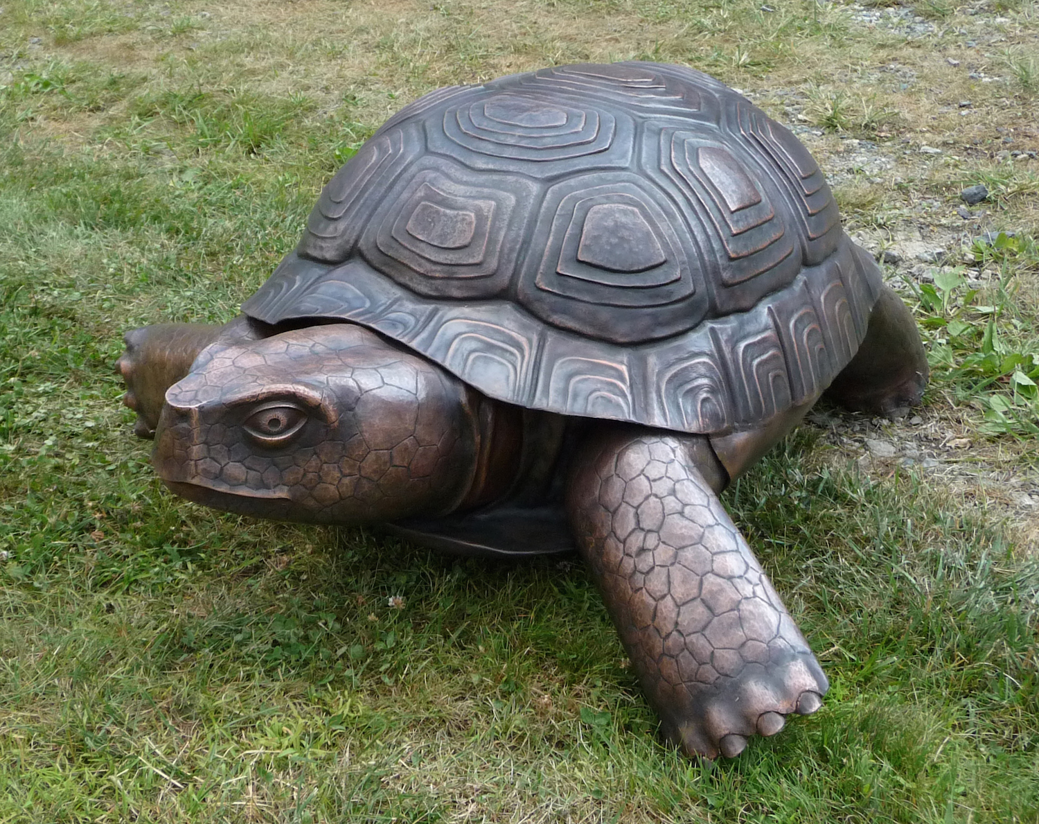 hammered copper sculpture tortoise