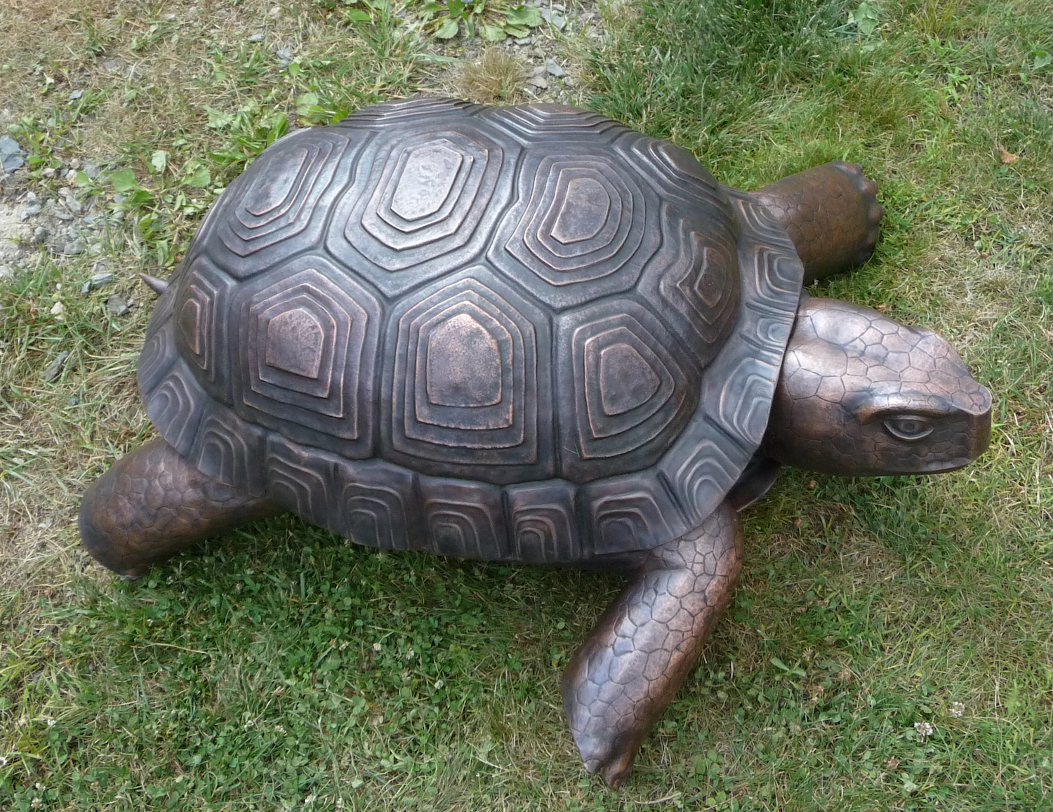 copper turtle sheet metal sculpture.